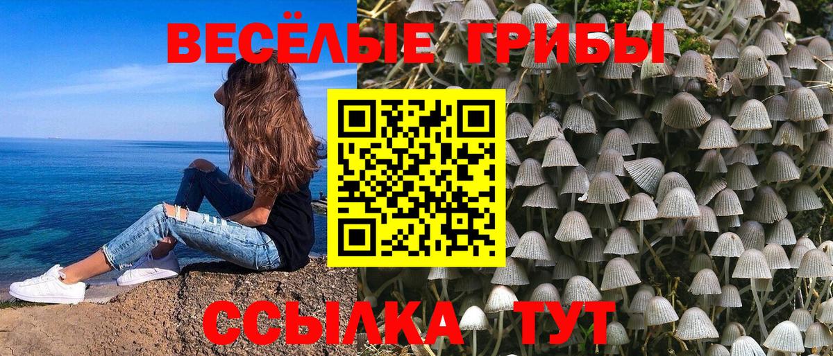 Галлюциногенные грибы мухоморы Фурманов